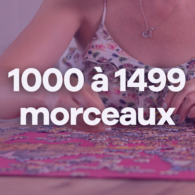 Image 1000 à 1499 morceaux